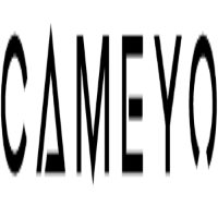 Cameyo Launches Global Channel Program