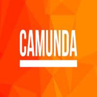 Camunda Adds Formal Channel Program for BPM Platform